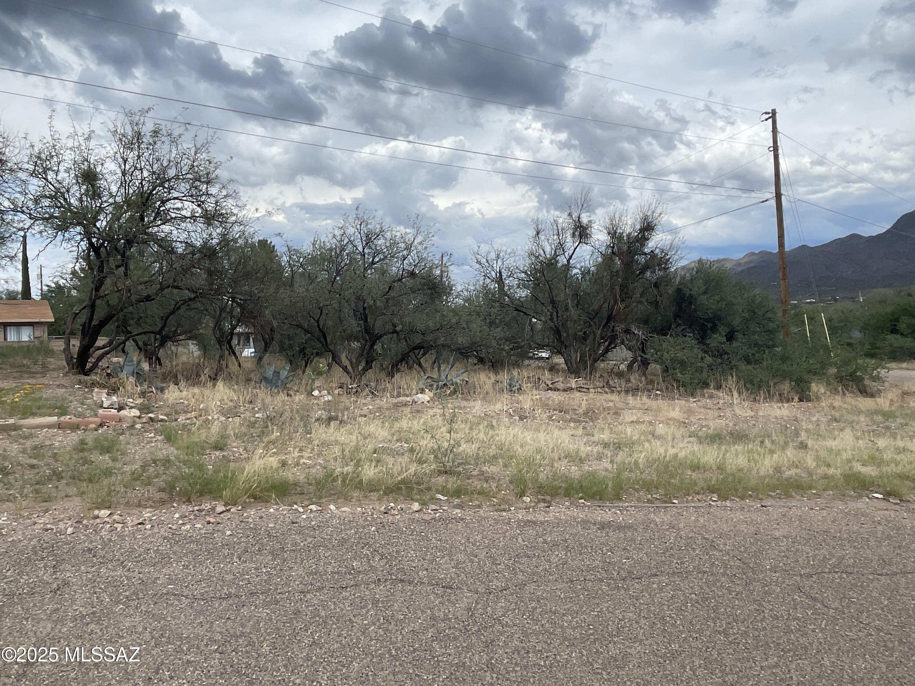 Rio Rico Villas 13 - Land