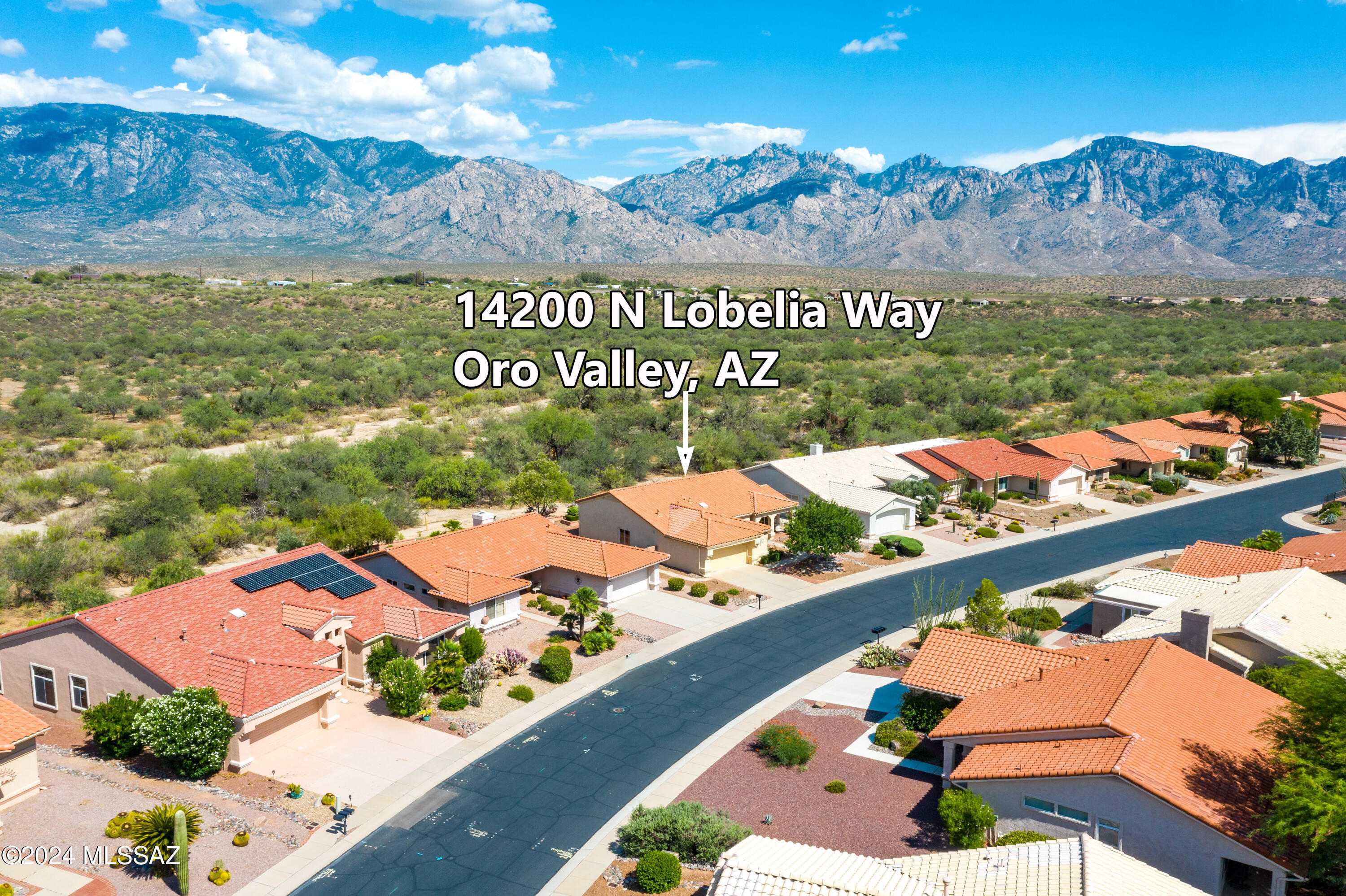 Sun City Vistoso Unit 17(1-276) - Residential