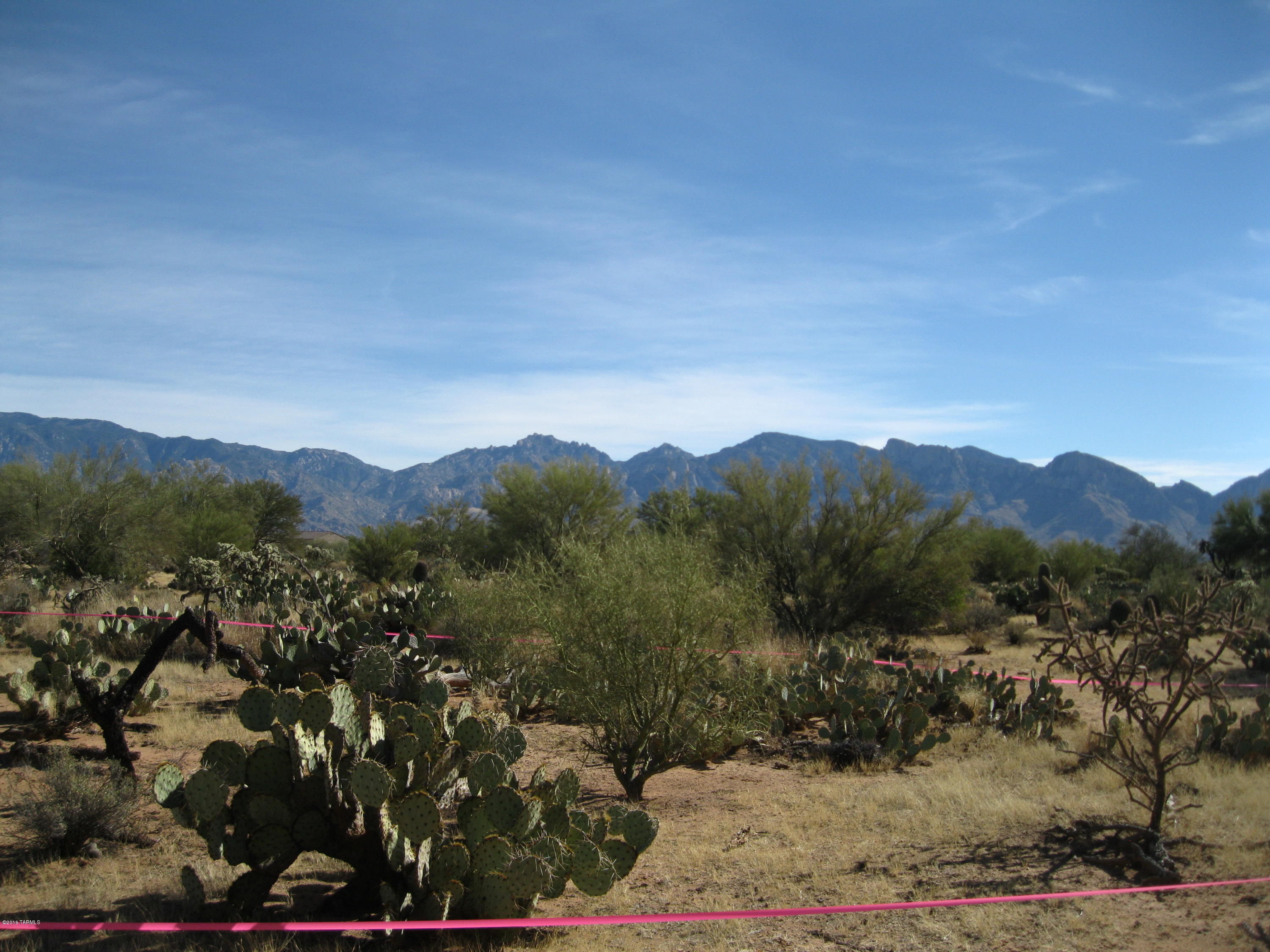 La Cholla Airpark - Land