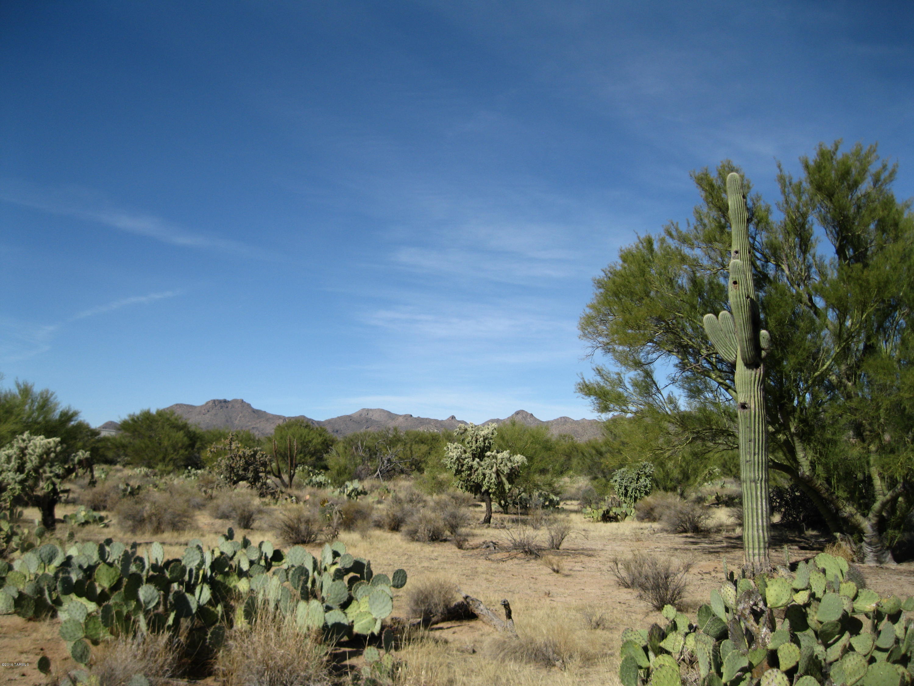 La Cholla Airpark - Land
