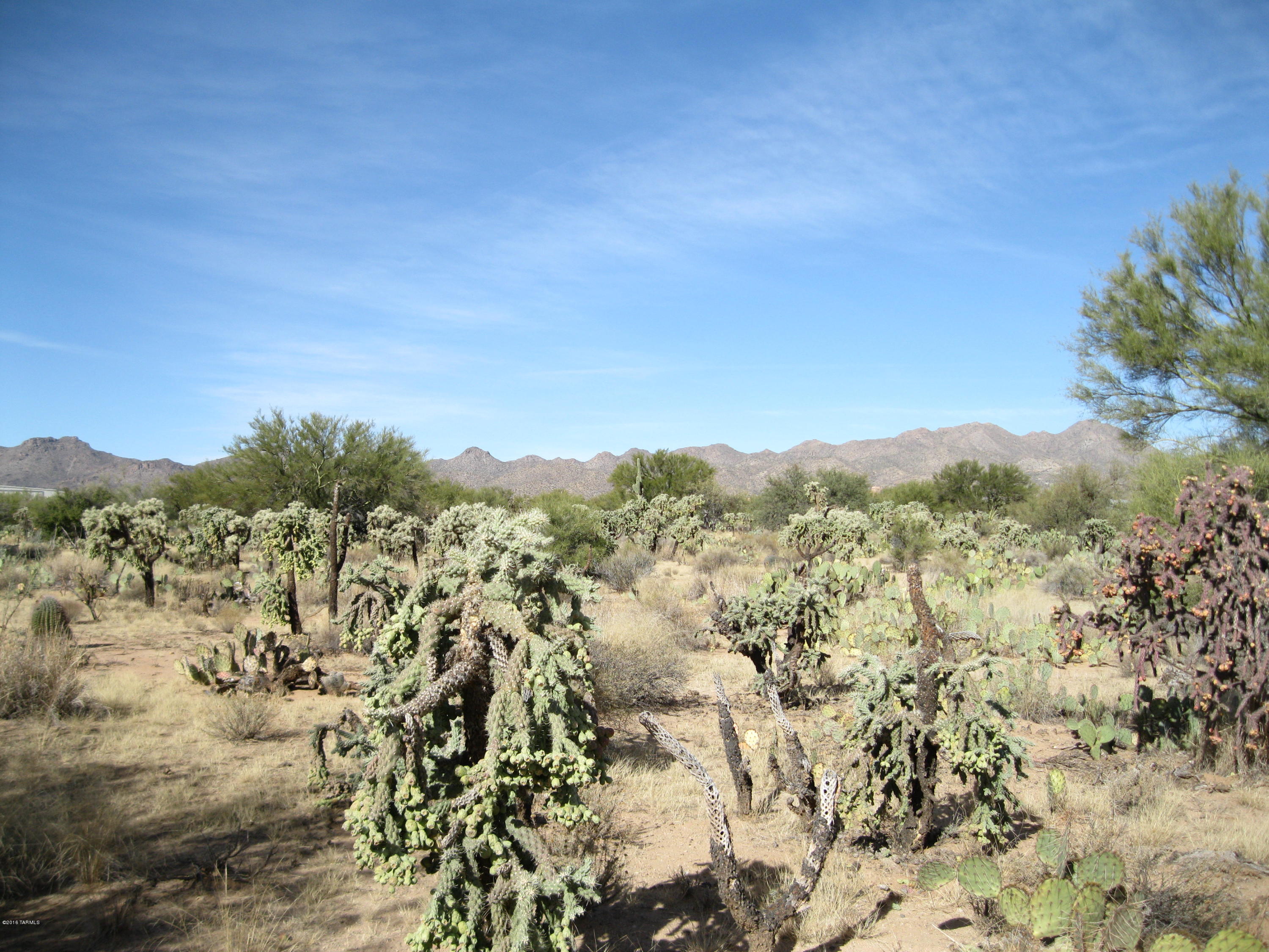 La Cholla Airpark - Land