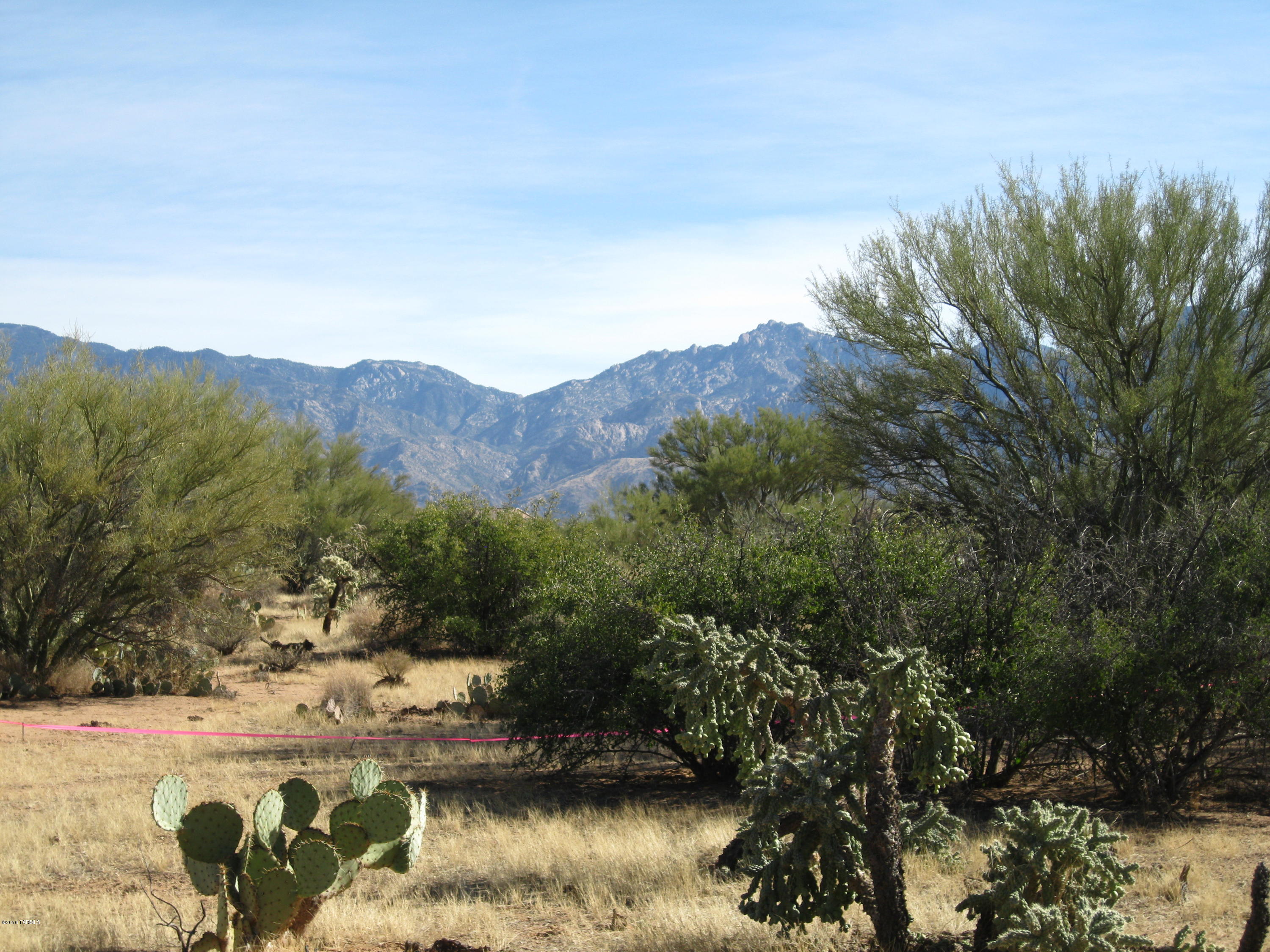 La Cholla Airpark - Land