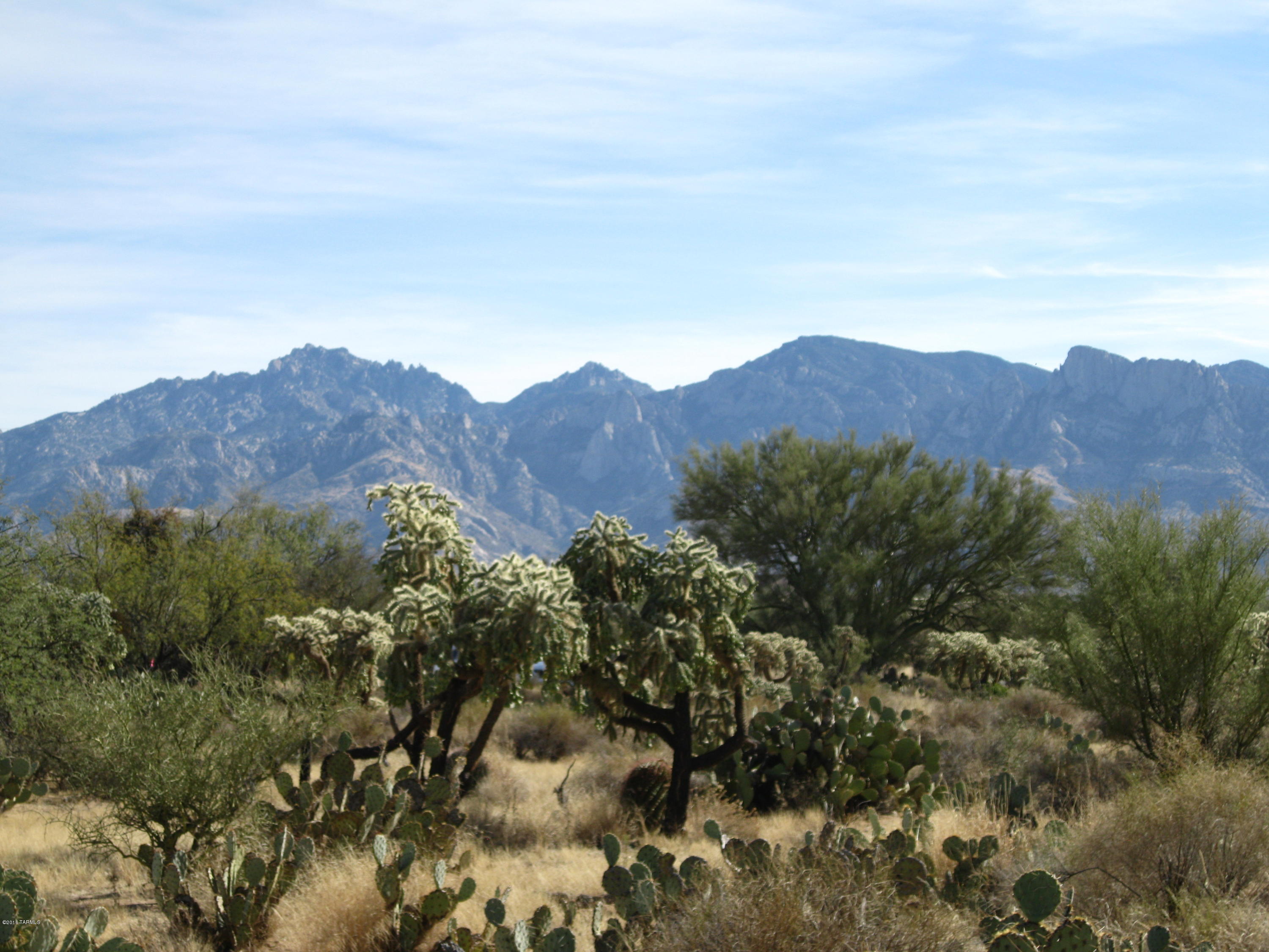 La Cholla Airpark - Land
