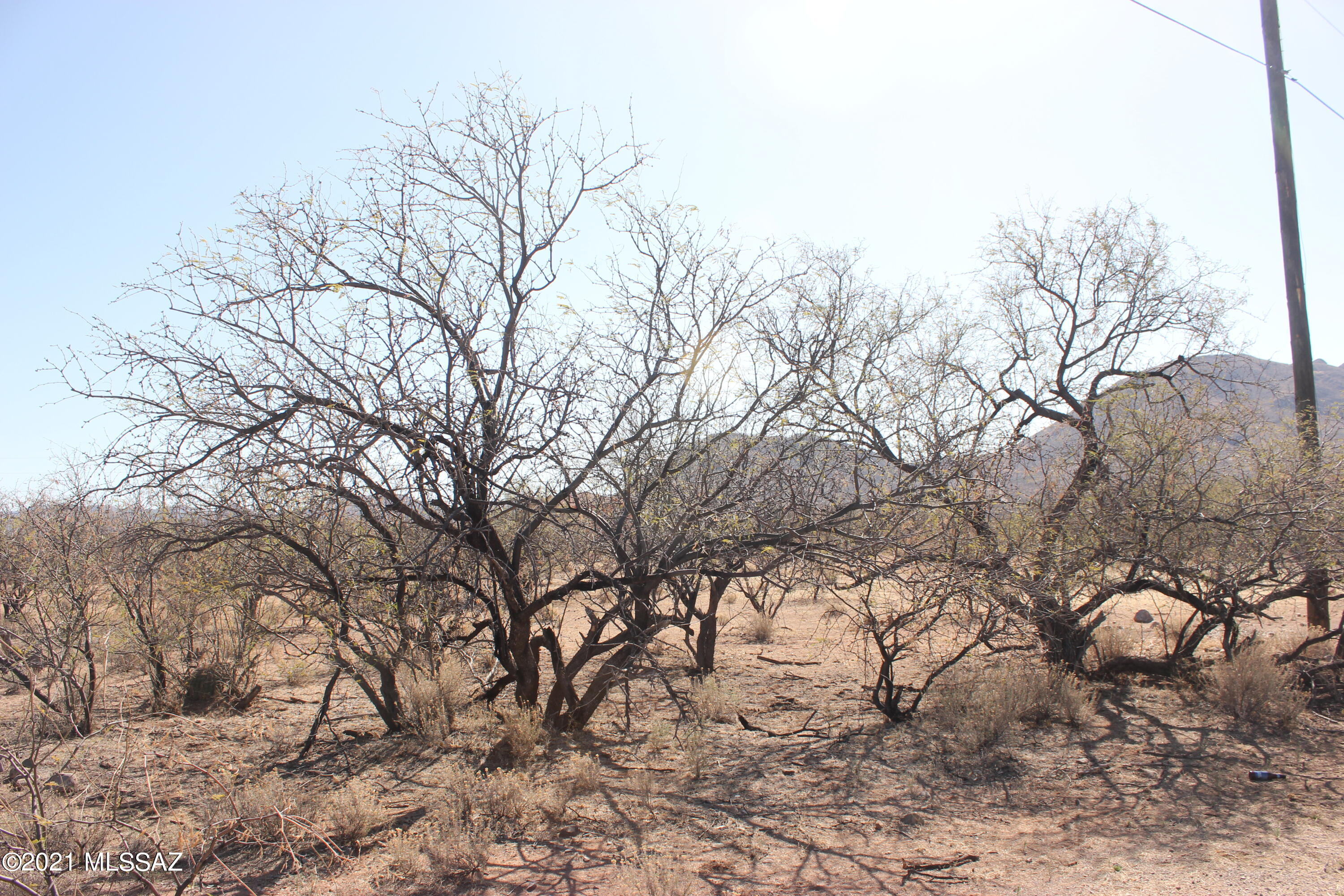 Rio Rico Villas 12 - Land