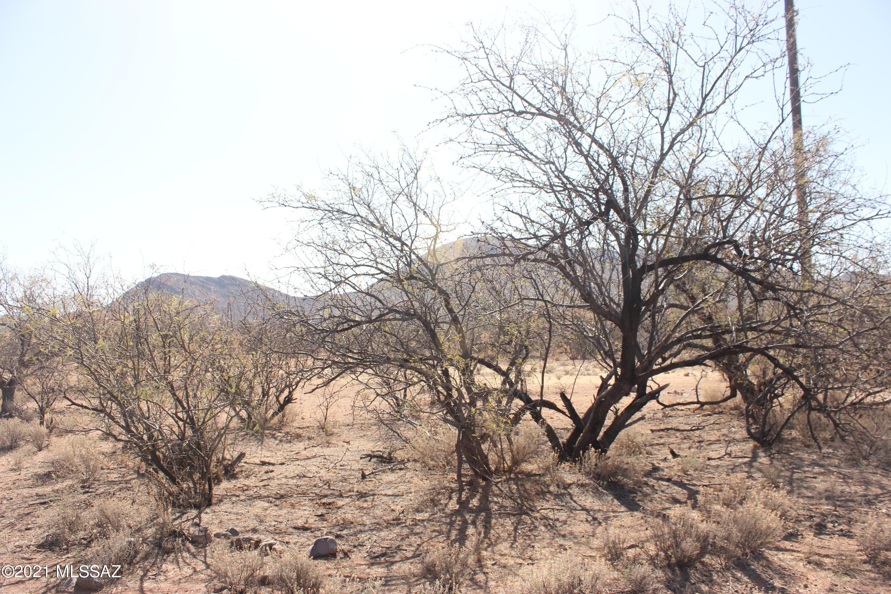 Rio Rico Villas 12 - Land