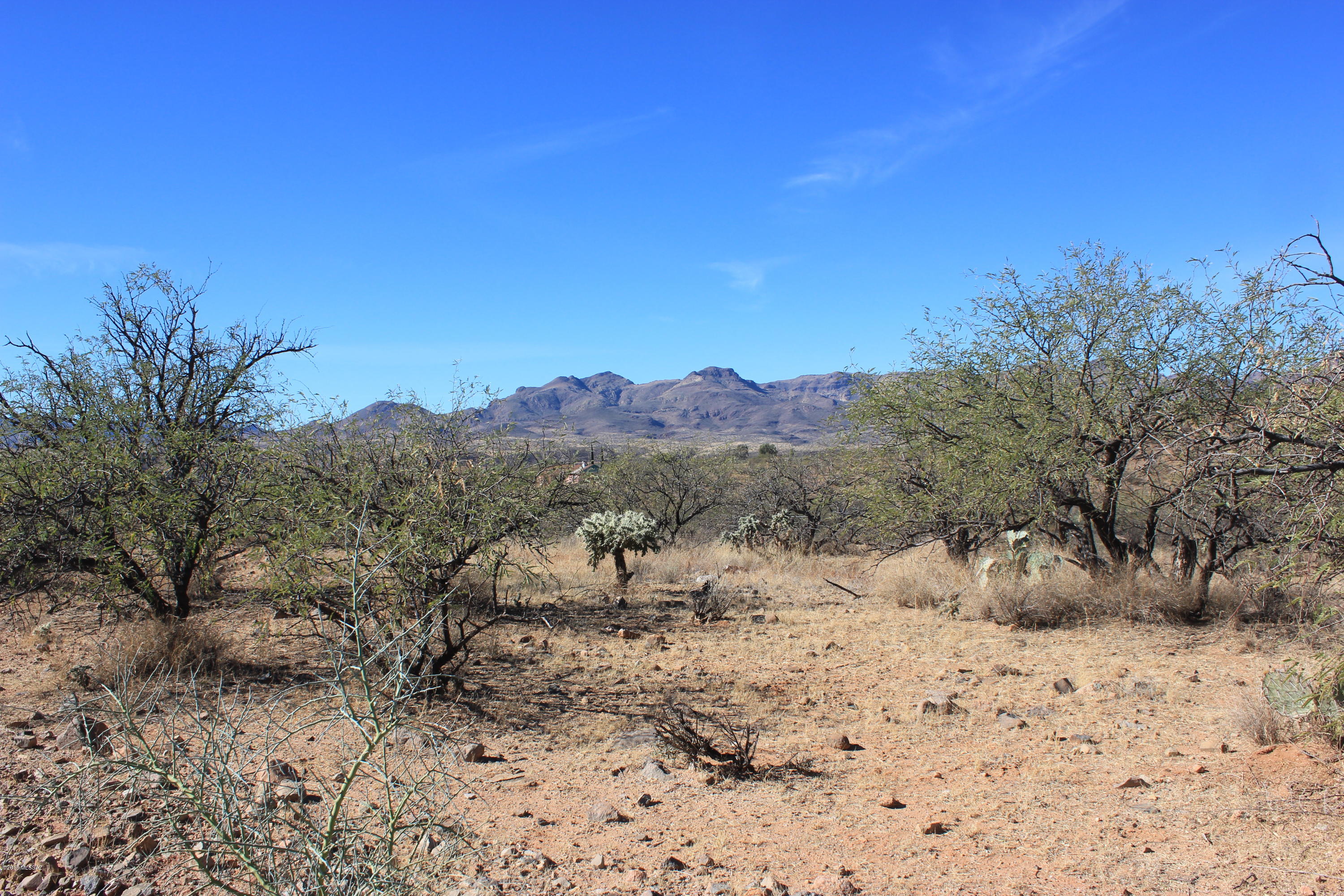 Rio Rico Ranchettes 18 - Land
