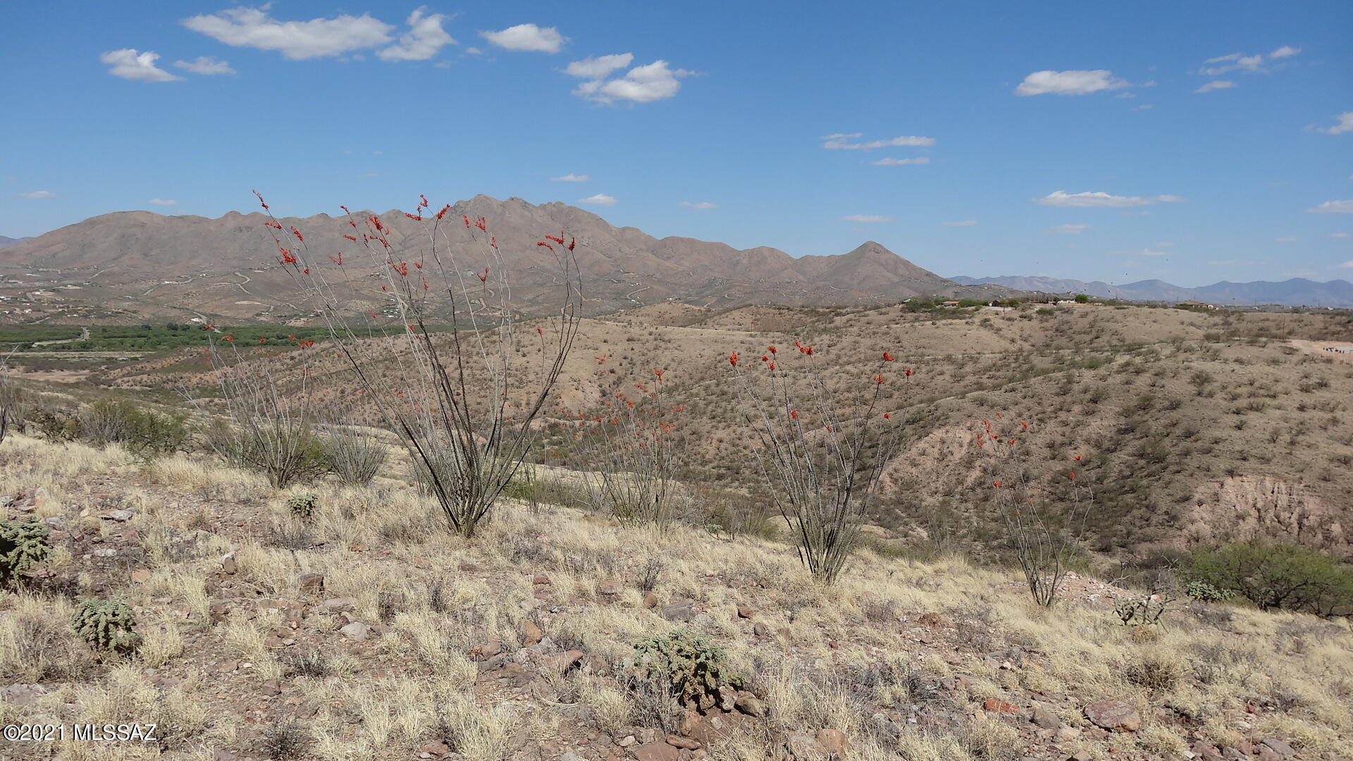 Rio Rico Ranchettes - Land