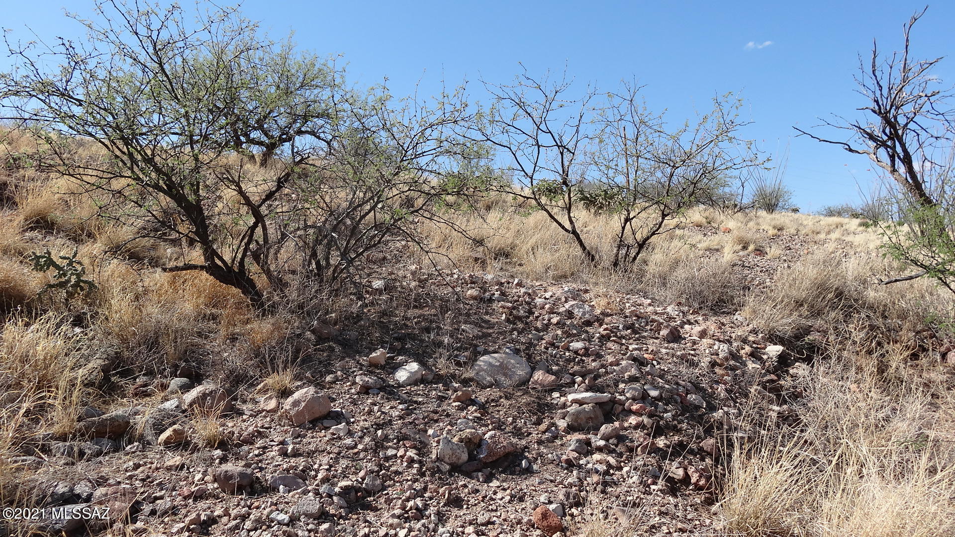Rio Rico Ranchettes - Land