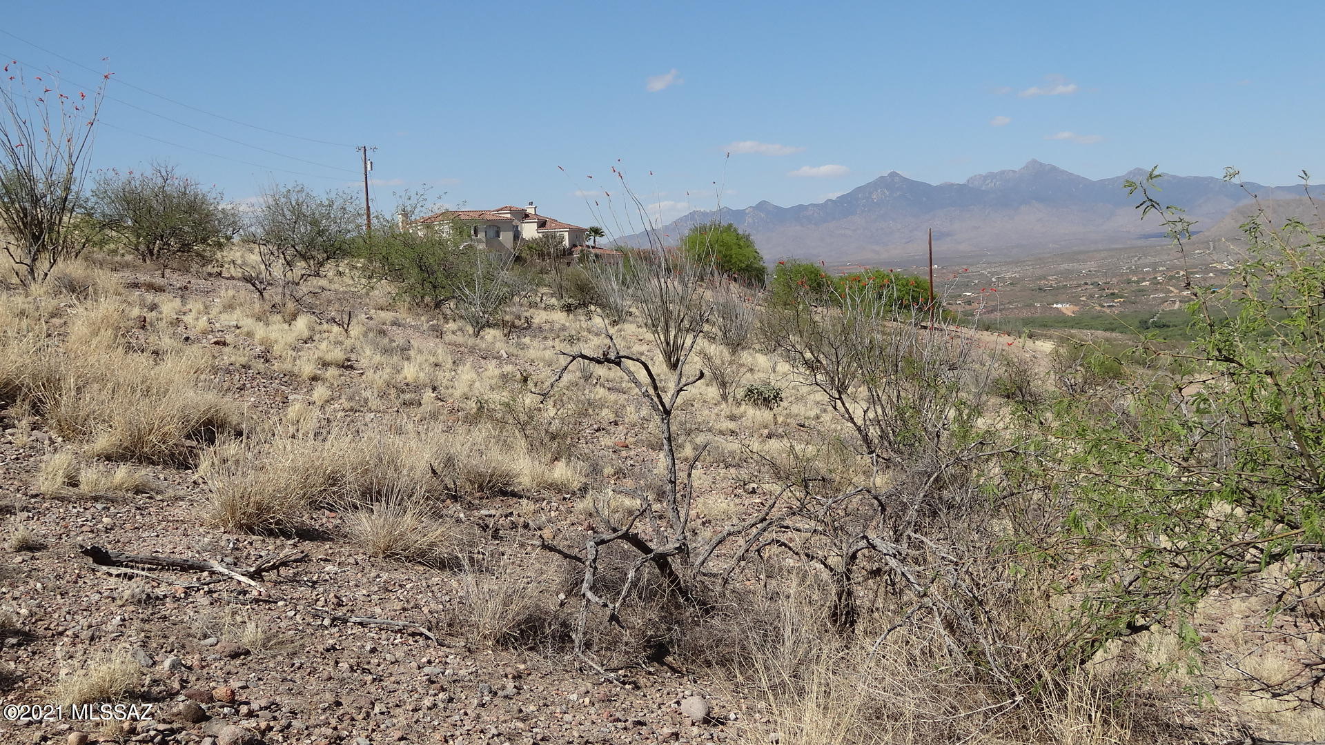 Rio Rico Ranchettes - Land