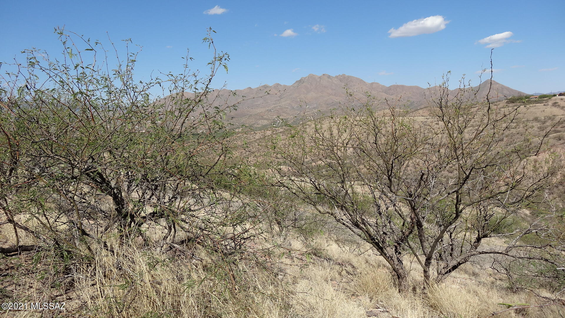 Rio Rico Ranchettes - Land