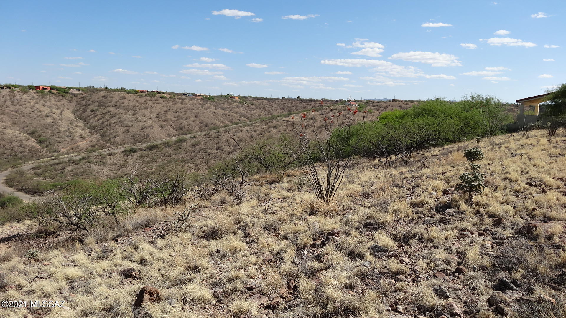 Rio Rico Ranchettes - Land