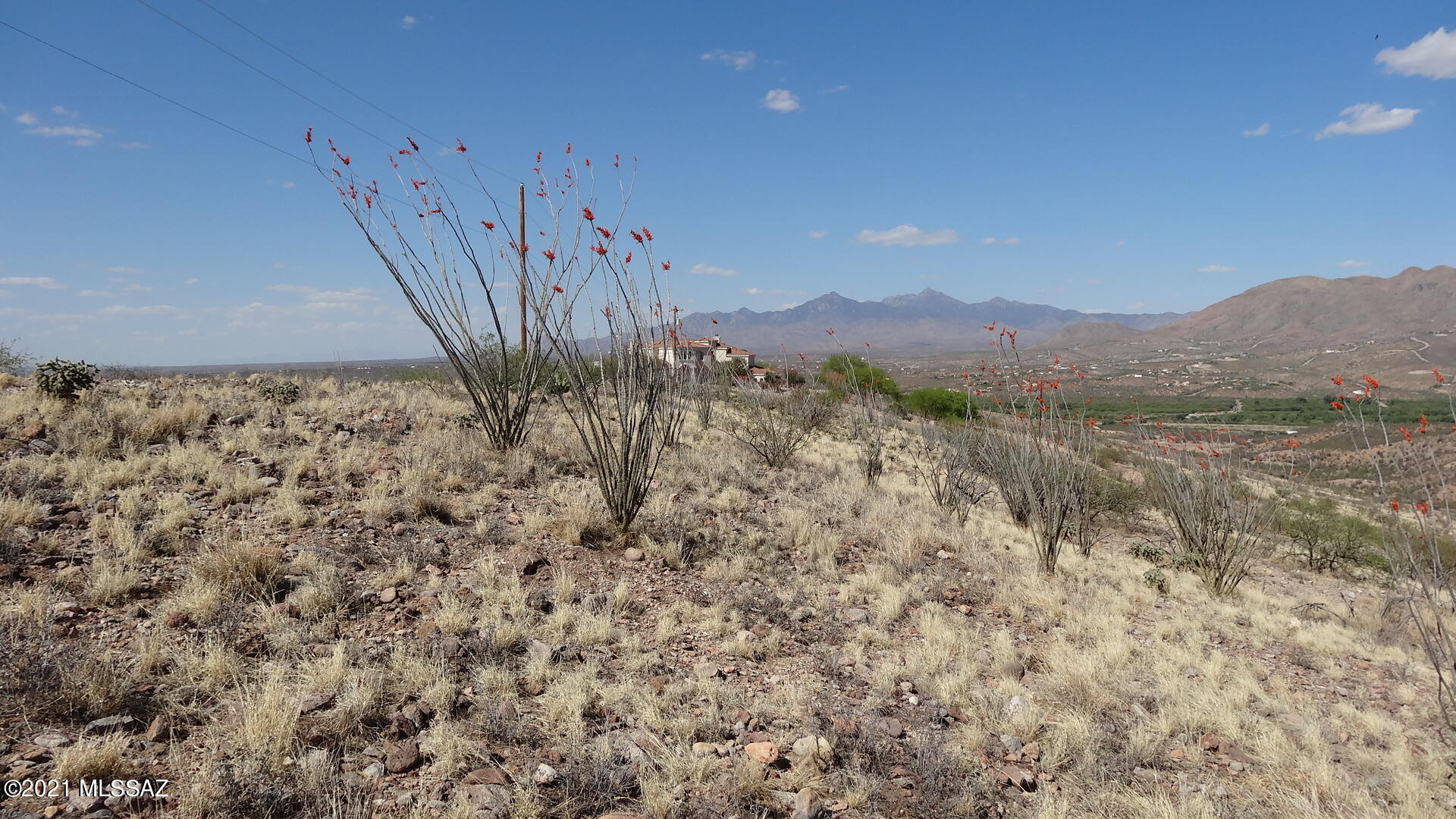 Rio Rico Ranchettes - Land