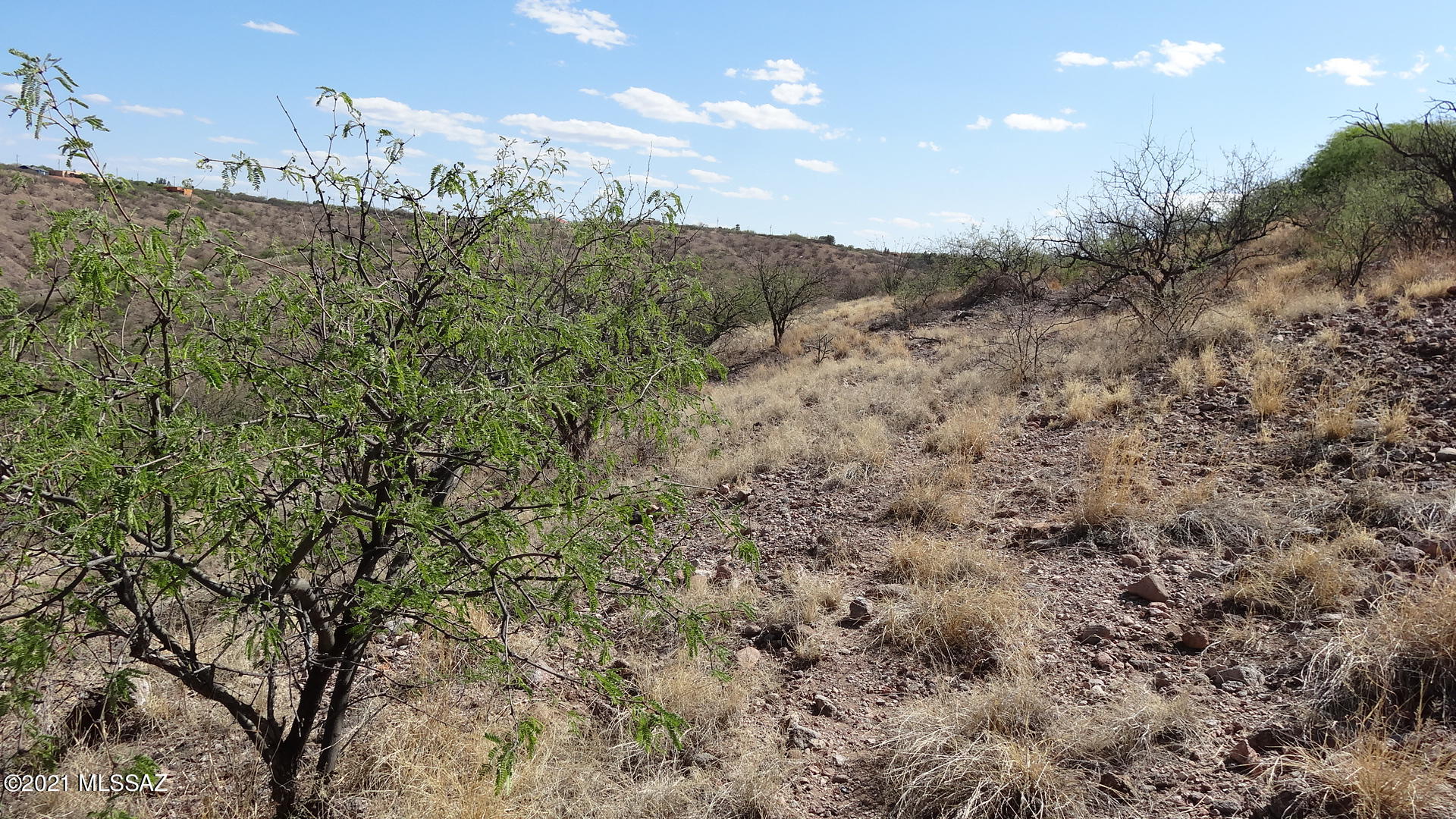 Rio Rico Ranchettes - Land