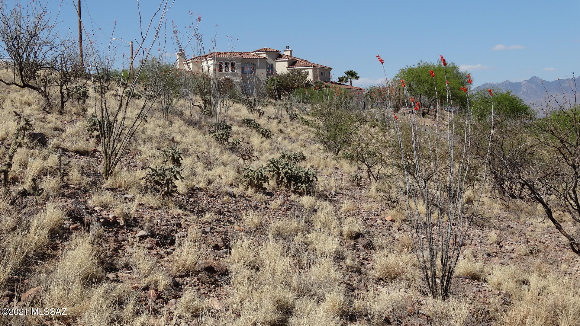 Rio Rico Ranchettes - Land