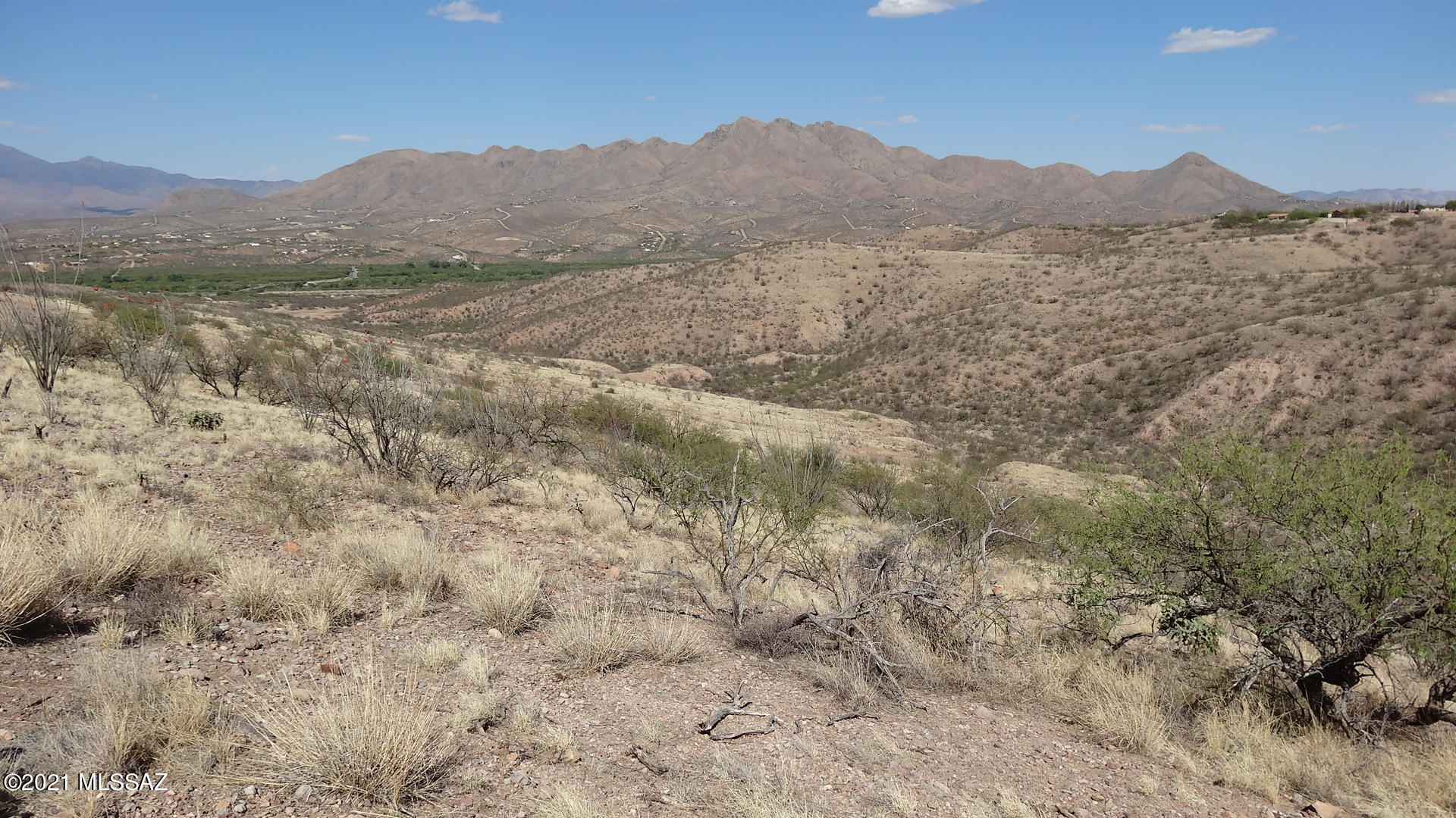 Rio Rico Ranchettes - Land