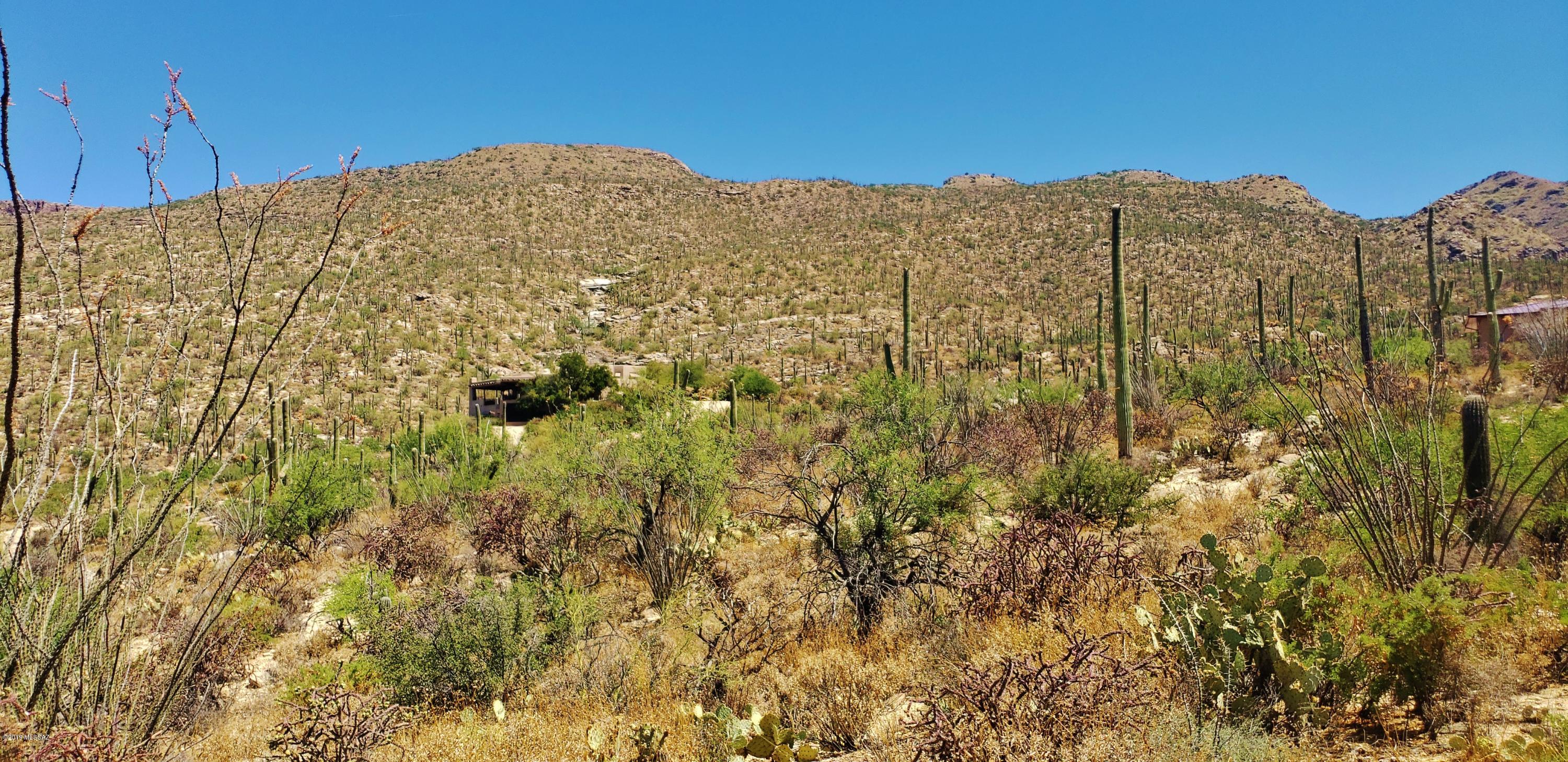 Estrella Vista Estates (1-23) - Land