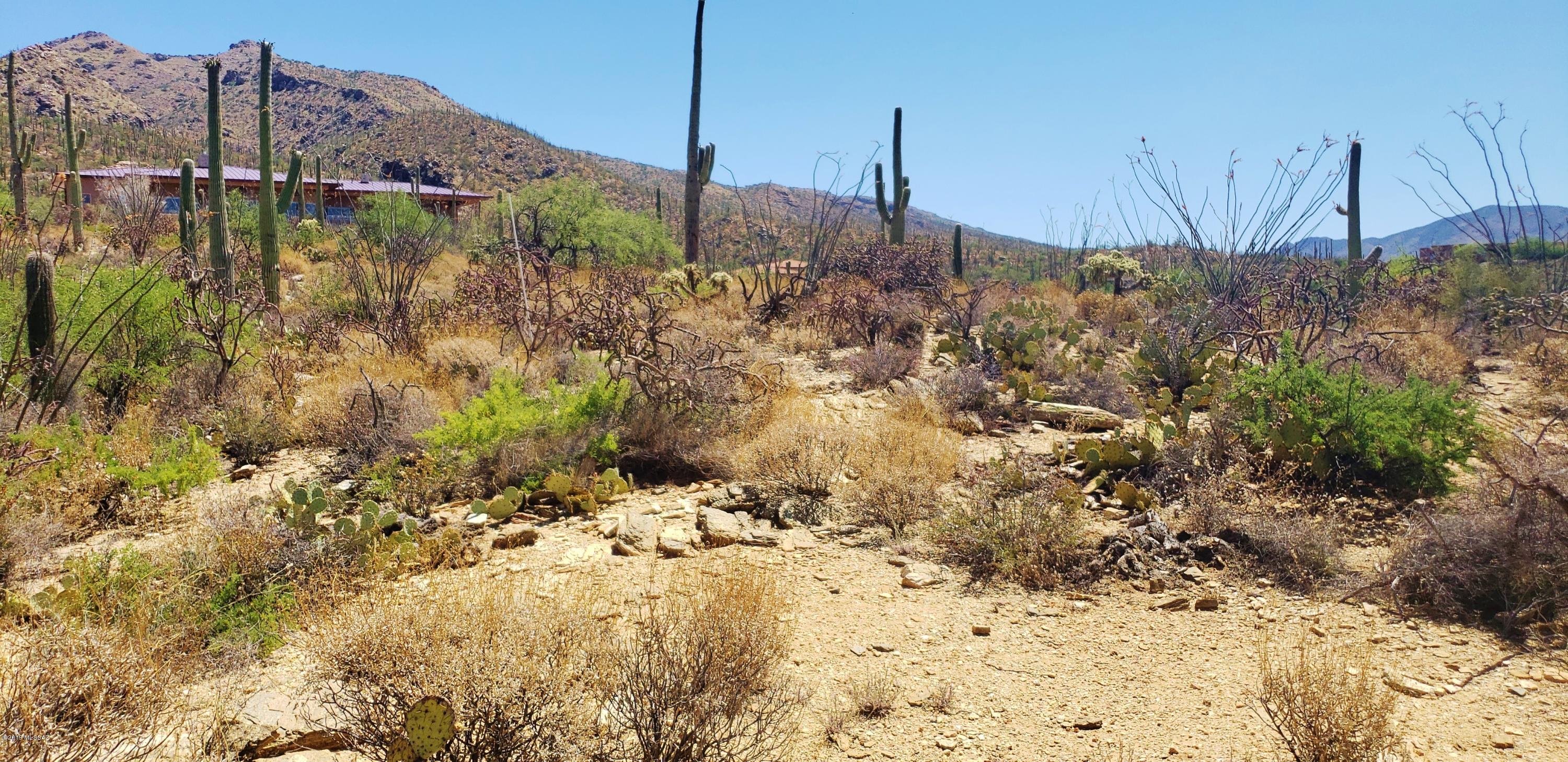 Estrella Vista Estates (1-23) - Land