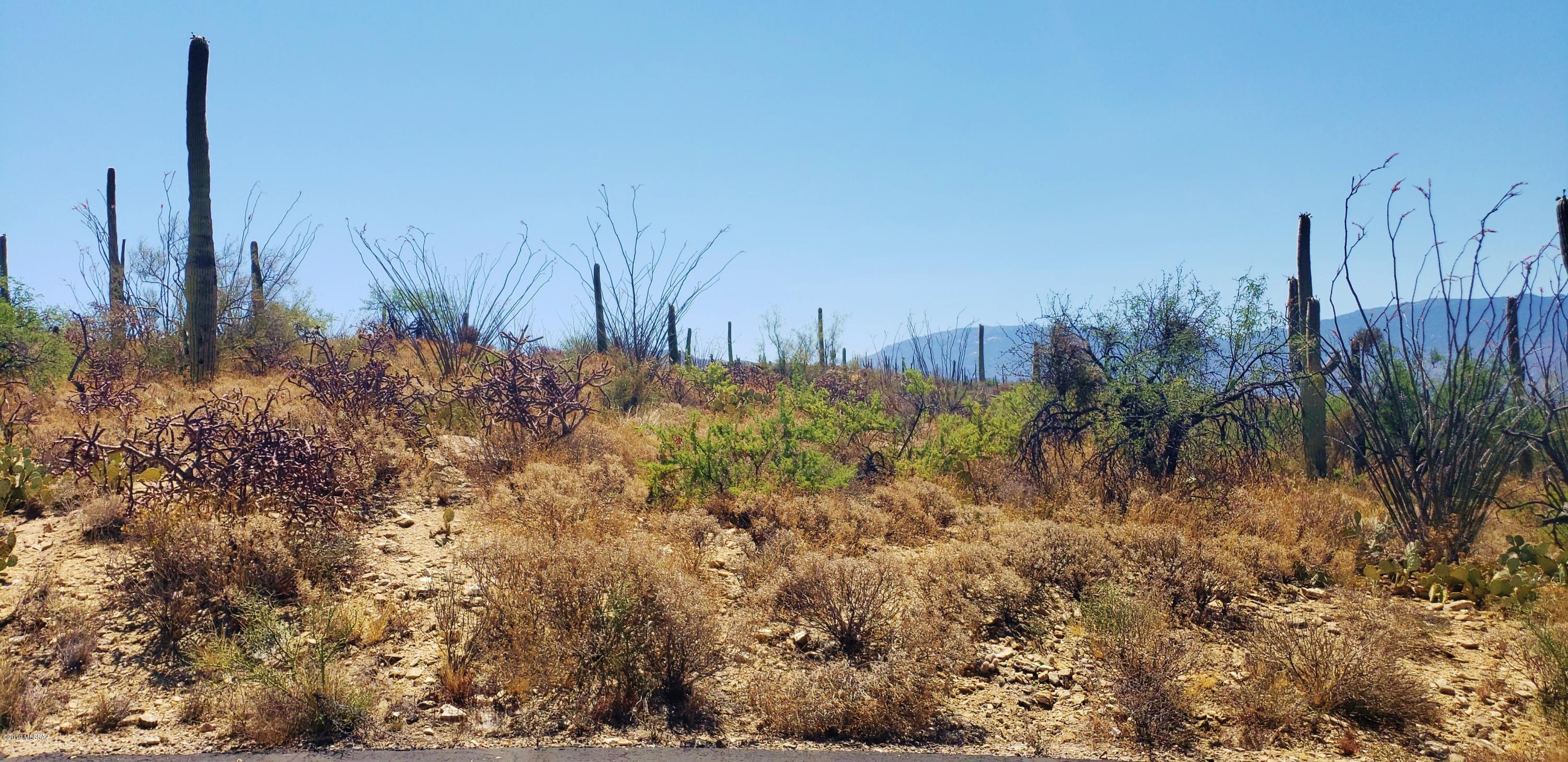 Estrella Vista Estates (1-23) - Land