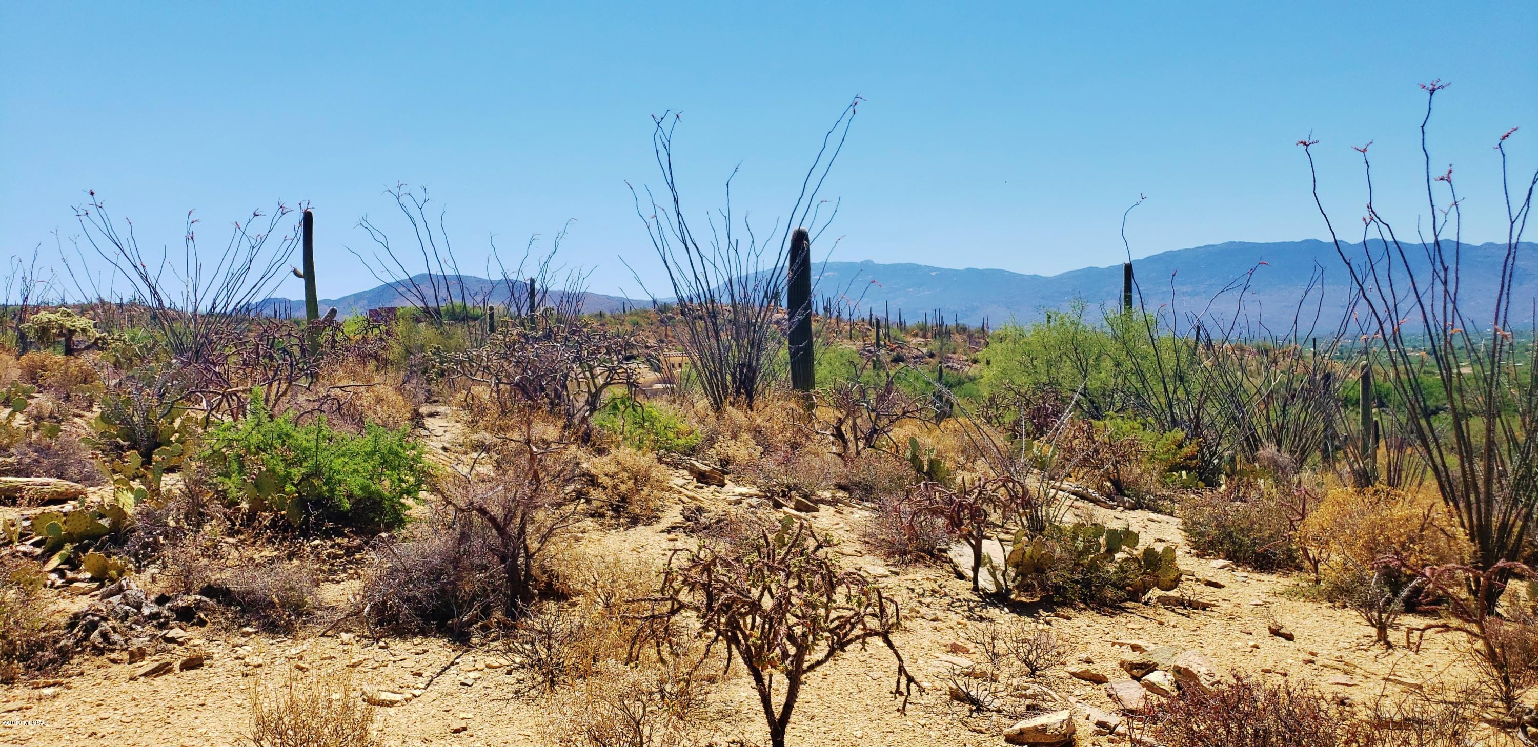 Estrella Vista Estates (1-23) - Land