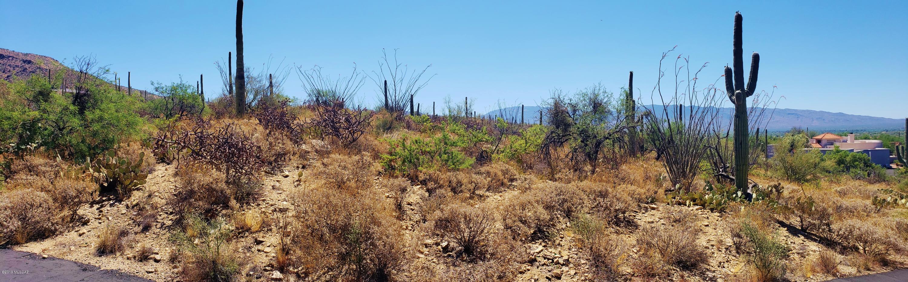 Estrella Vista Estates (1-23) - Land