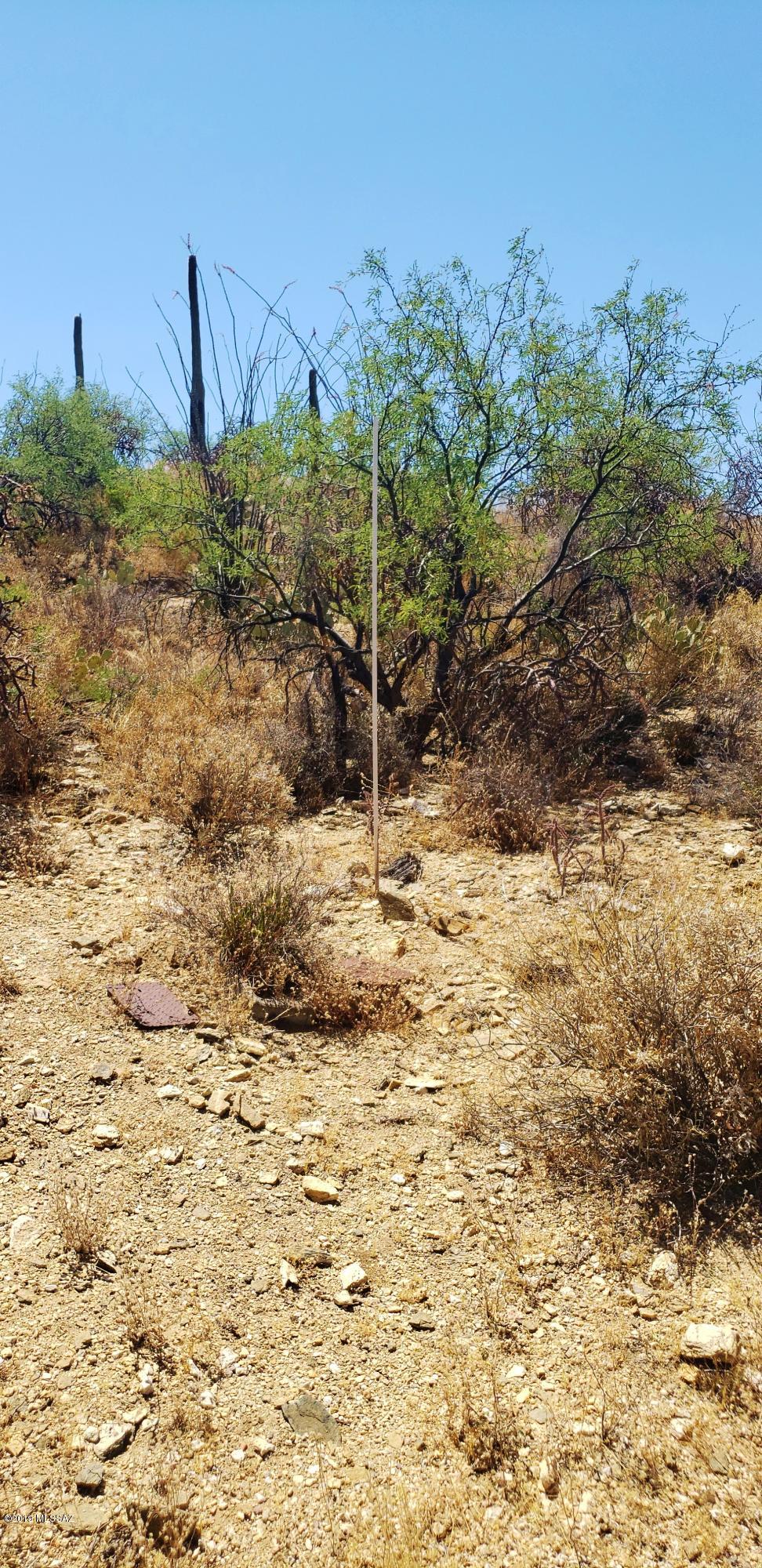 Estrella Vista Estates (1-23) - Land