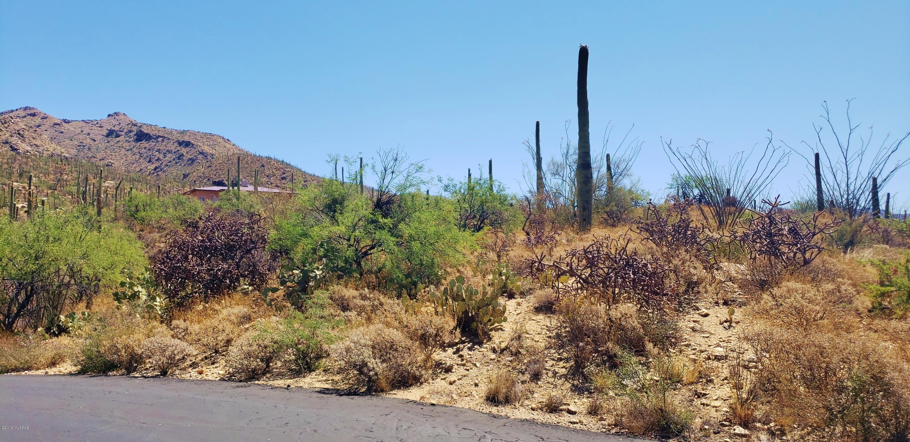 Estrella Vista Estates (1-23) - Land