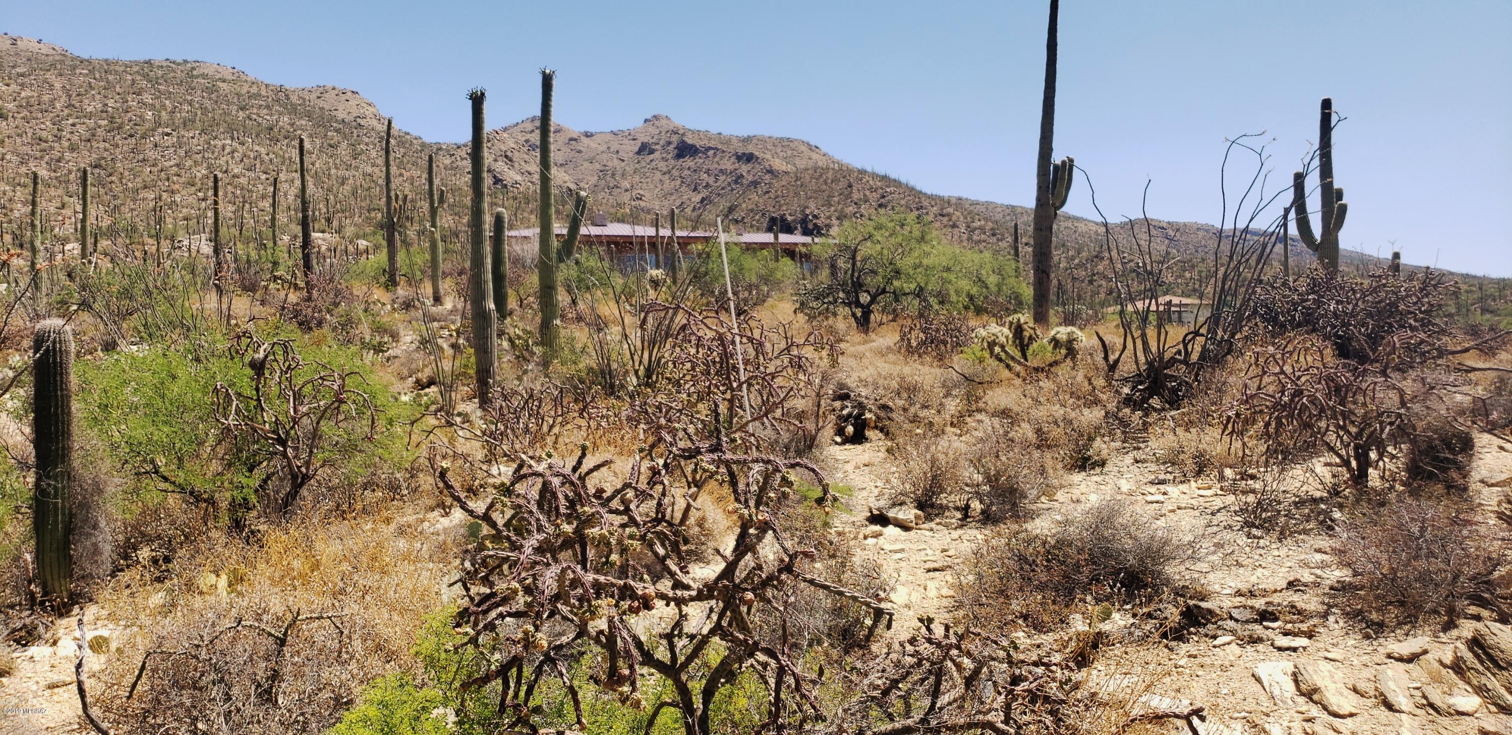 Estrella Vista Estates (1-23) - Land