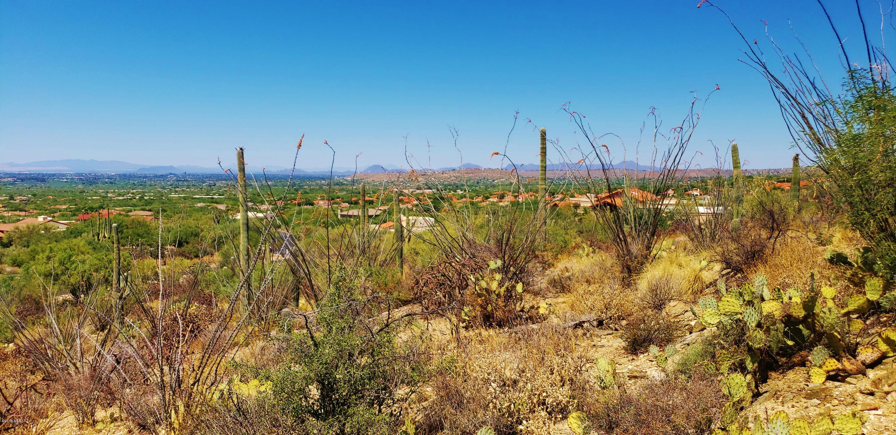 Estrella Vista Estates (1-23) - Land