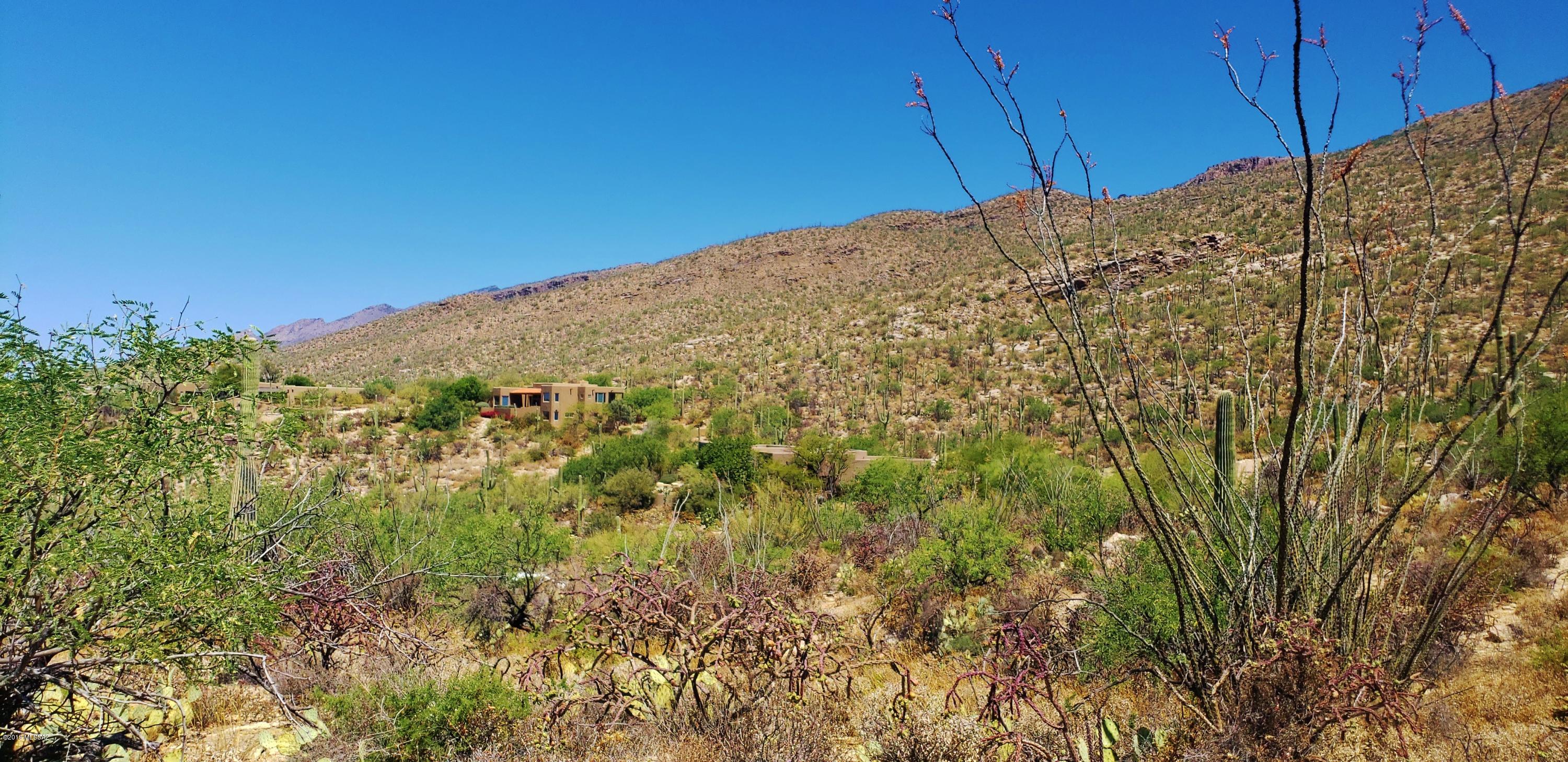 Estrella Vista Estates (1-23) - Land