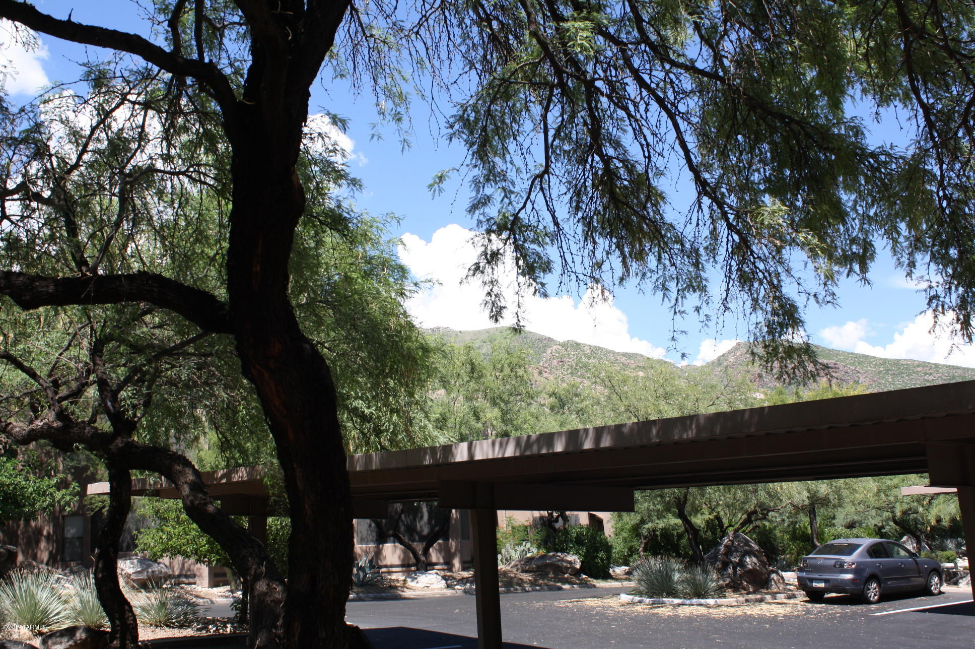 Canyon View At Ventana Condominium (1-264) - Residential
