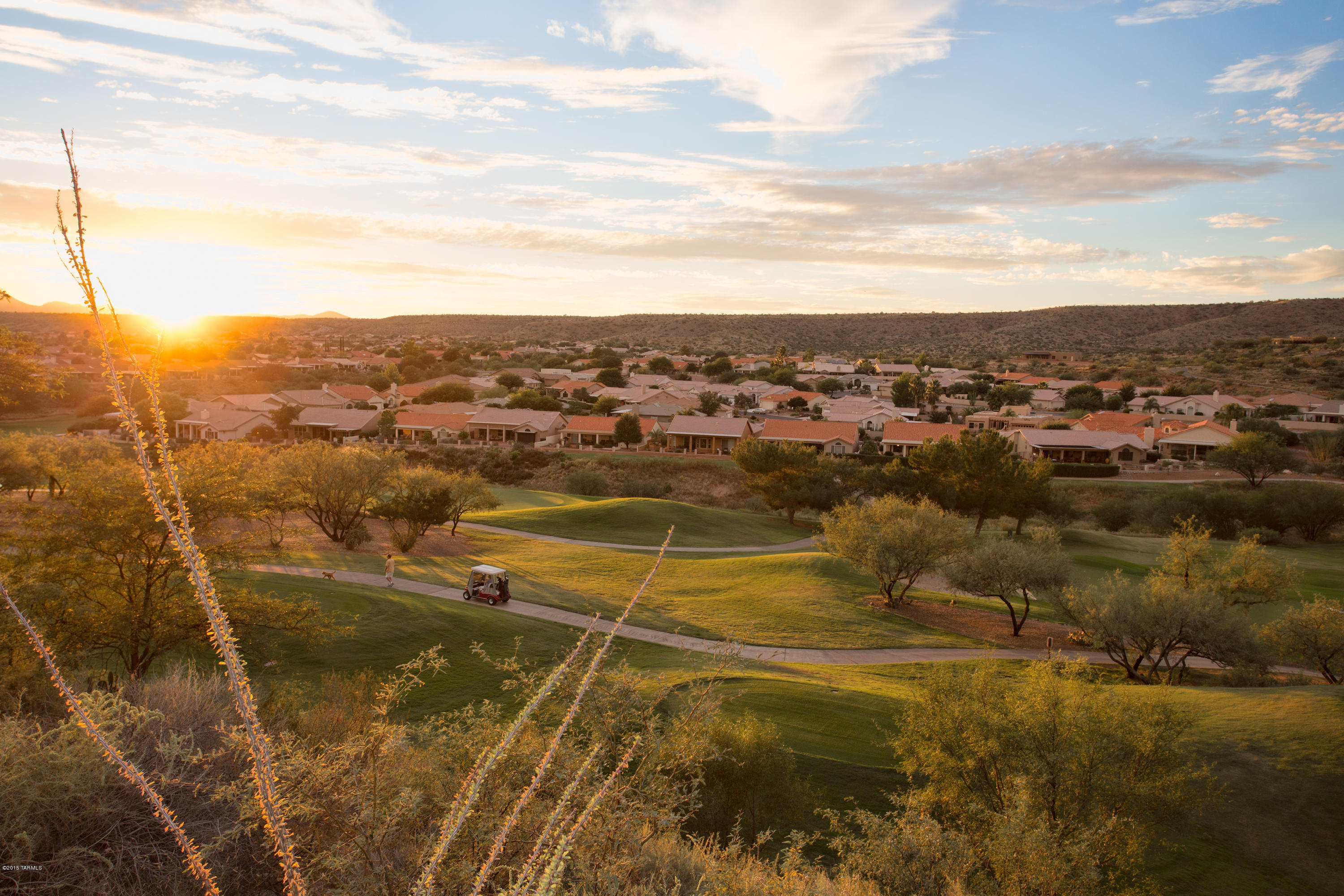 Saddlebrooke - Residential
