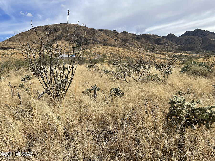Rio Rico Ranchettes 18 - Land