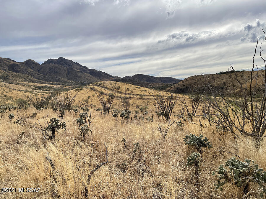 Rio Rico Ranchettes 18 - Land