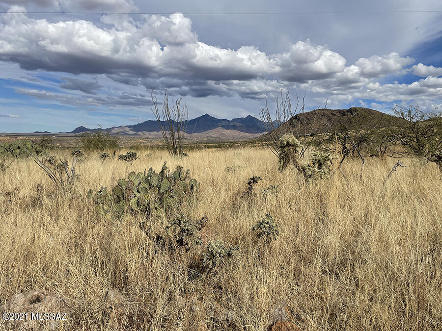 Rio Rico Ranchettes 18 - Land