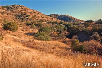 Sonoita Springs Ranch - Land