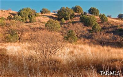 Sonoita Springs Ranch - Land
