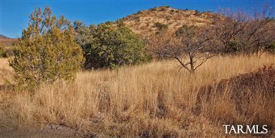 Sonoita Springs Ranch - Land