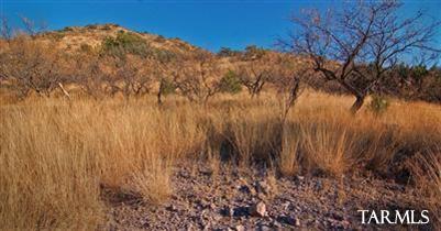 Sonoita Springs Ranch - Land