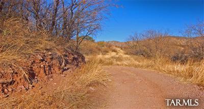 Sonoita Springs Ranch - Land