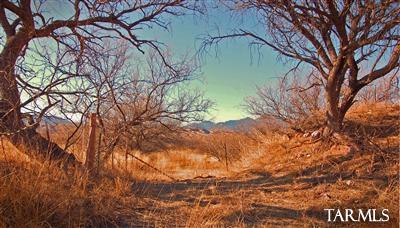 Sonoita Springs Ranch - Land