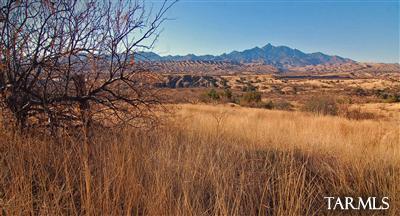 Sonoita Springs Ranch - Land
