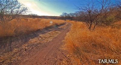 Sonoita Springs Ranch - Land