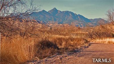 A premier high view parcel in Sonoita Springs Ranch--overlooking Sonoita Creek Valley, Mt Wrightson, the Santa Ritas, Red Mtn & Canelo Hills. The east property boundary is directly adjacent to Coronado Natl Forest--great for horses, hiking, adventuring & those seeking privacy. Gently rolling terrain w/dramatic steeper grades rich in native growth & wildlife. A rare offering for discerning buyers & at a greatly discounted price. It may be divided.