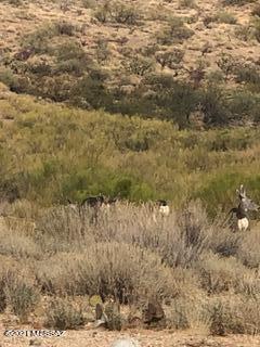Eagle Crest Ranch - Residential