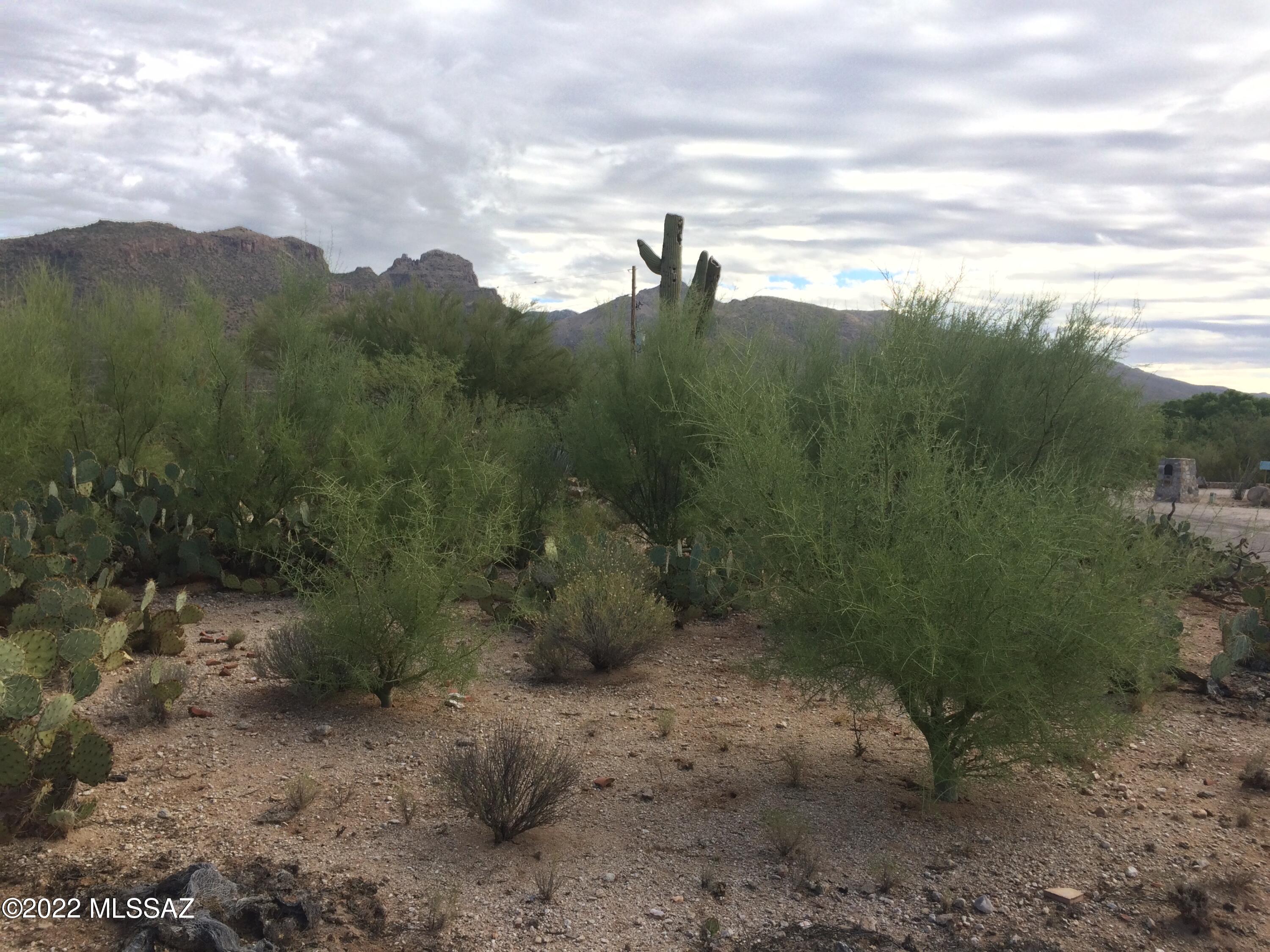 Castle Rock Estates (1-47) - Land