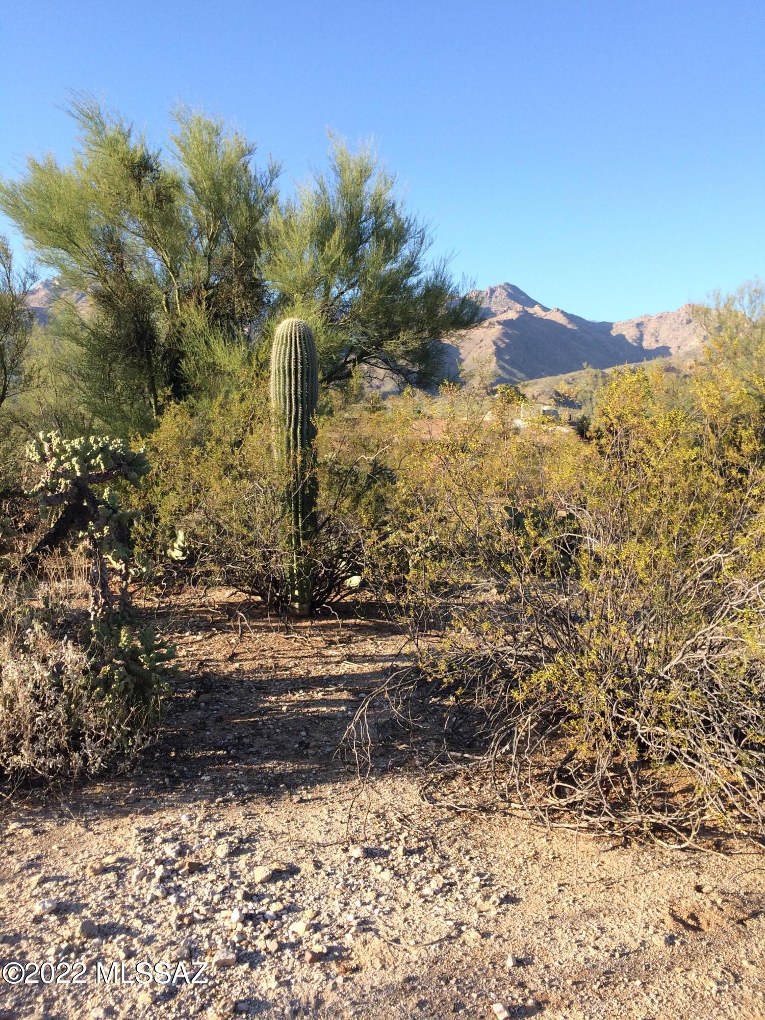 Castle Rock Estates (1-47) - Land