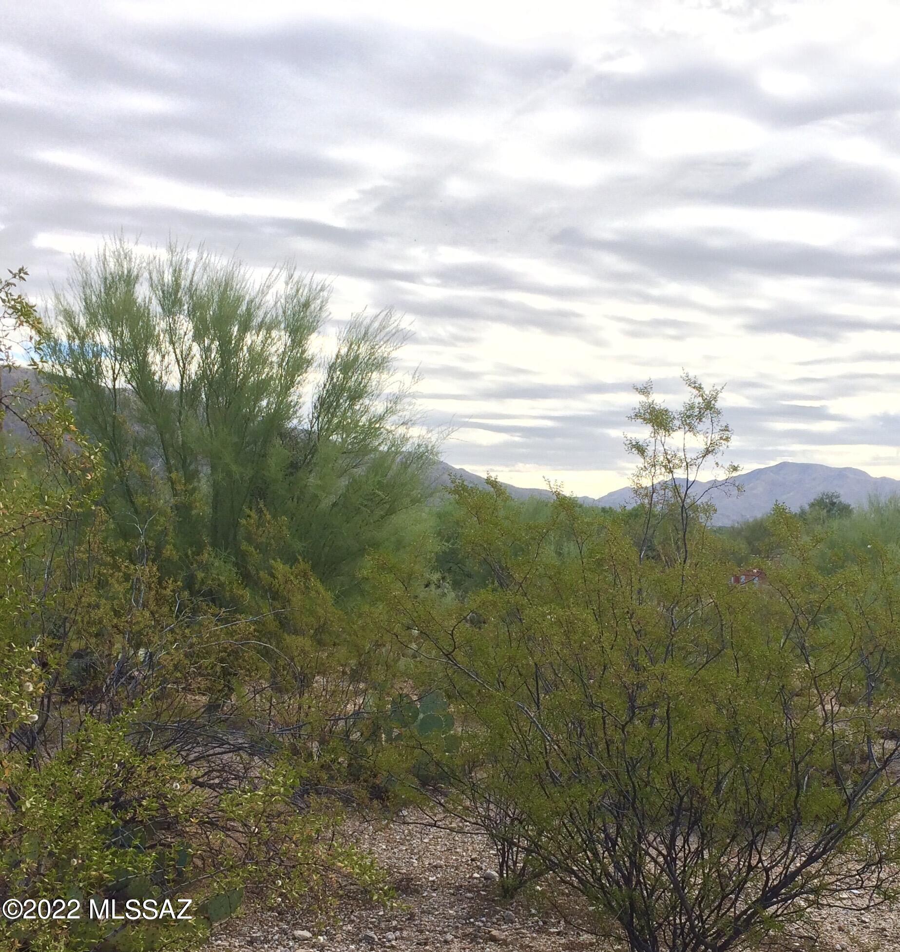 Castle Rock Estates (1-47) - Land