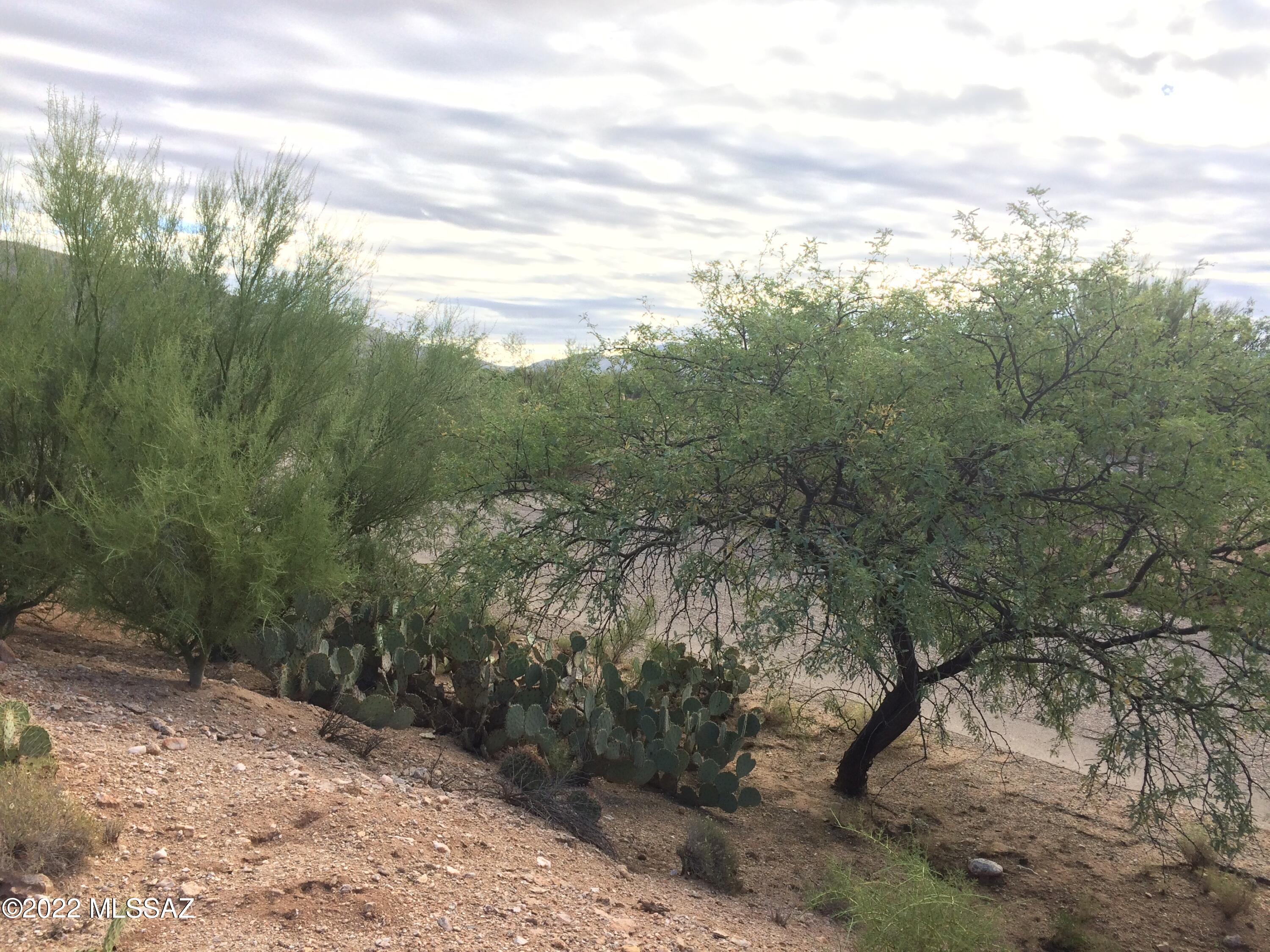 Castle Rock Estates (1-47) - Land