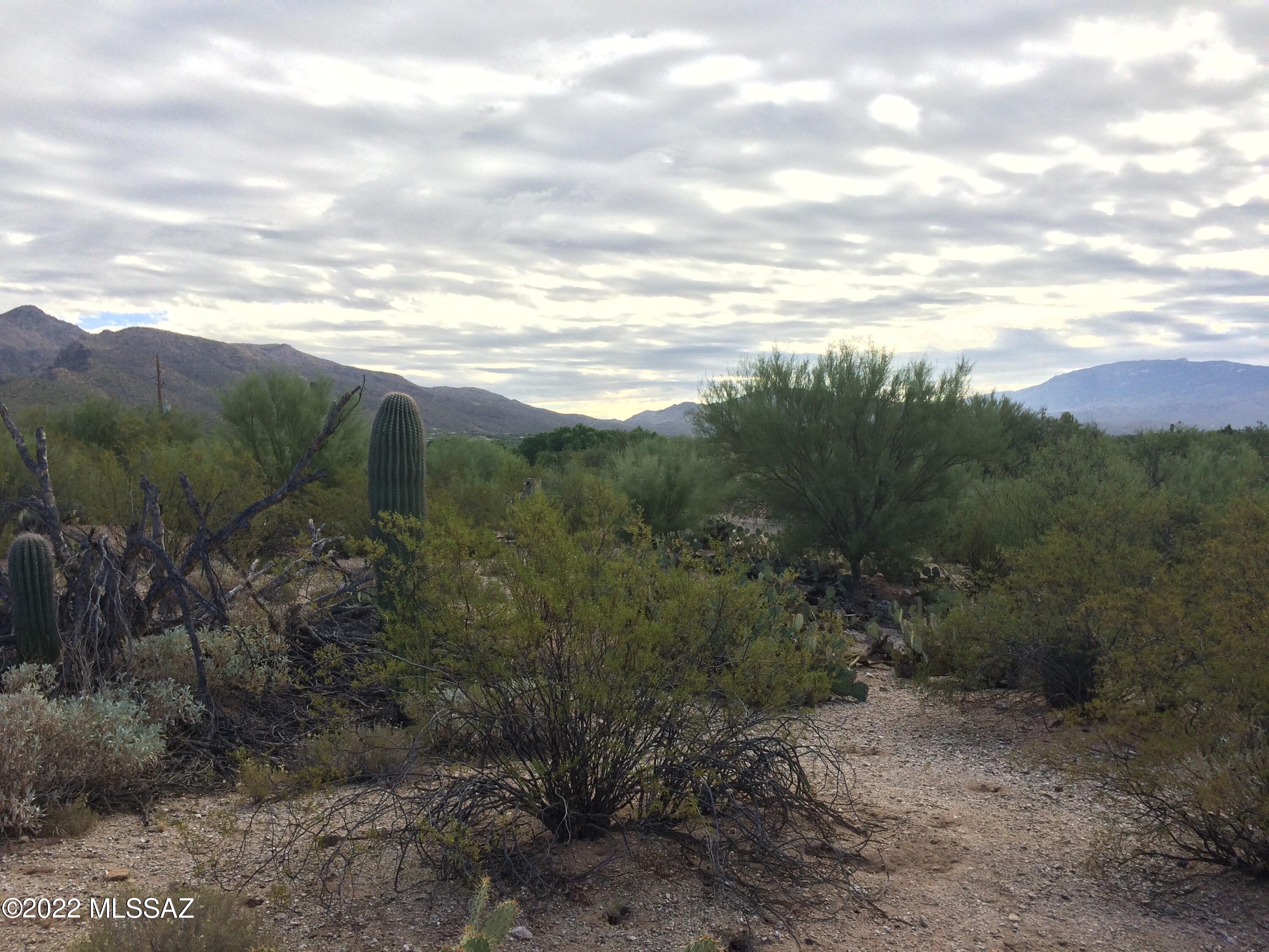 Castle Rock Estates (1-47) - Land