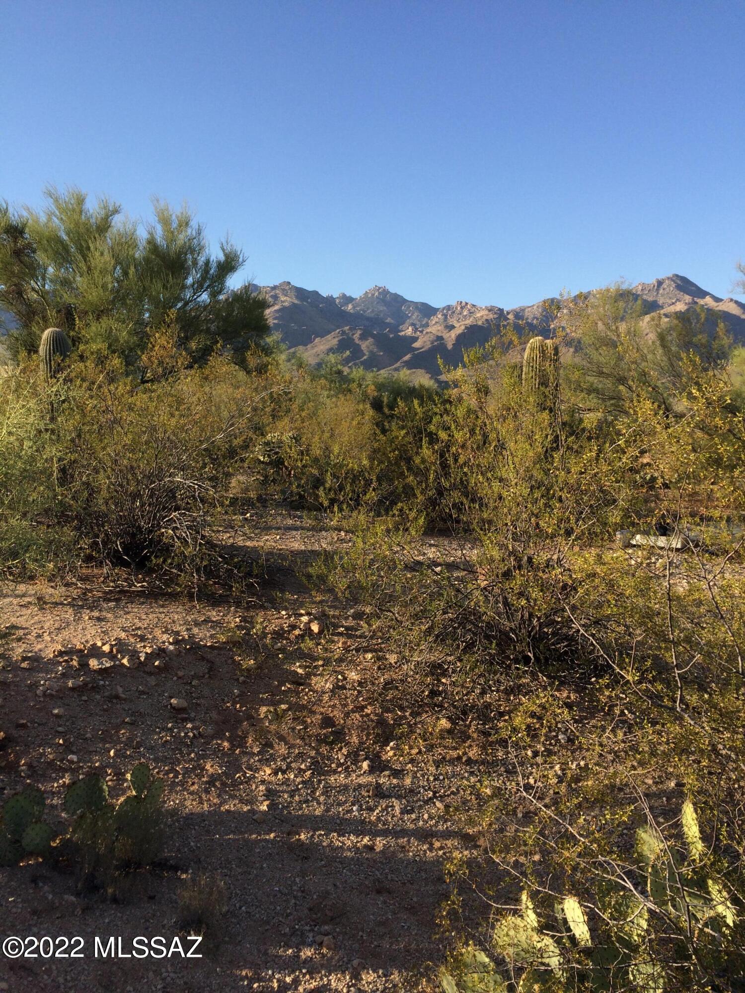 Castle Rock Estates (1-47) - Land